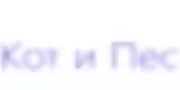Кот и Пес